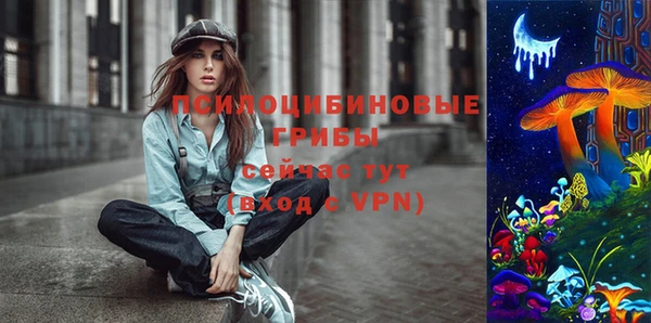 молекула духа Магас