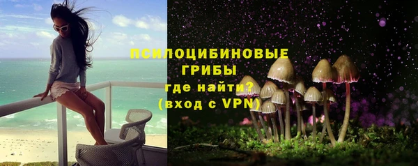молекула духа Магас
